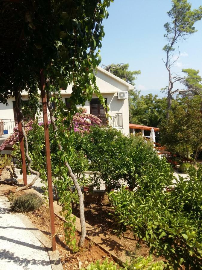 Manda Ljubetic Daire Sutivan Dış mekan fotoğraf
