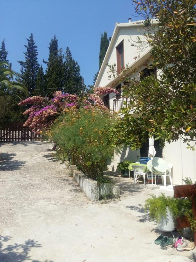 Manda Ljubetic Daire Sutivan Dış mekan fotoğraf