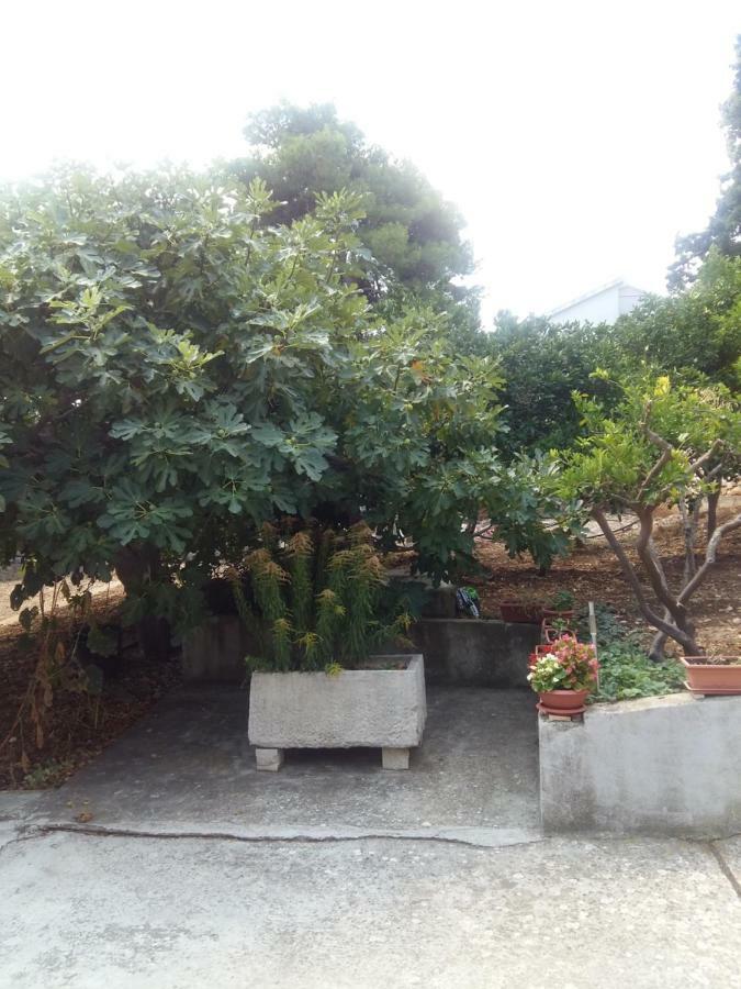Manda Ljubetic Daire Sutivan Dış mekan fotoğraf