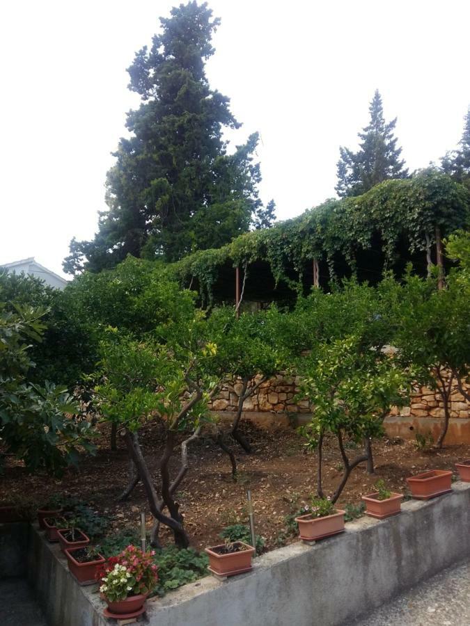 Manda Ljubetic Daire Sutivan Dış mekan fotoğraf
