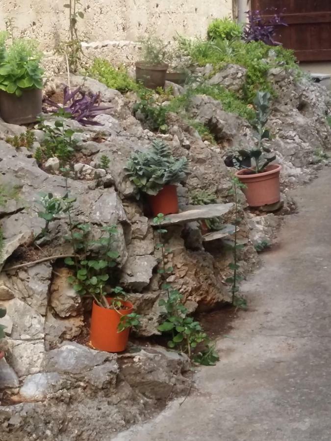 Manda Ljubetic Daire Sutivan Dış mekan fotoğraf