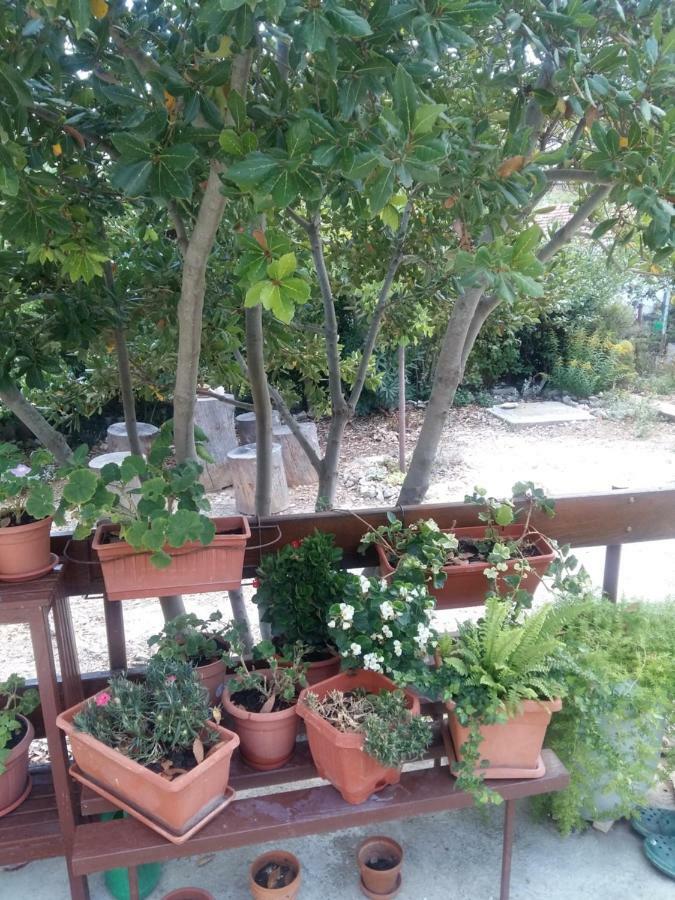 Manda Ljubetic Daire Sutivan Dış mekan fotoğraf