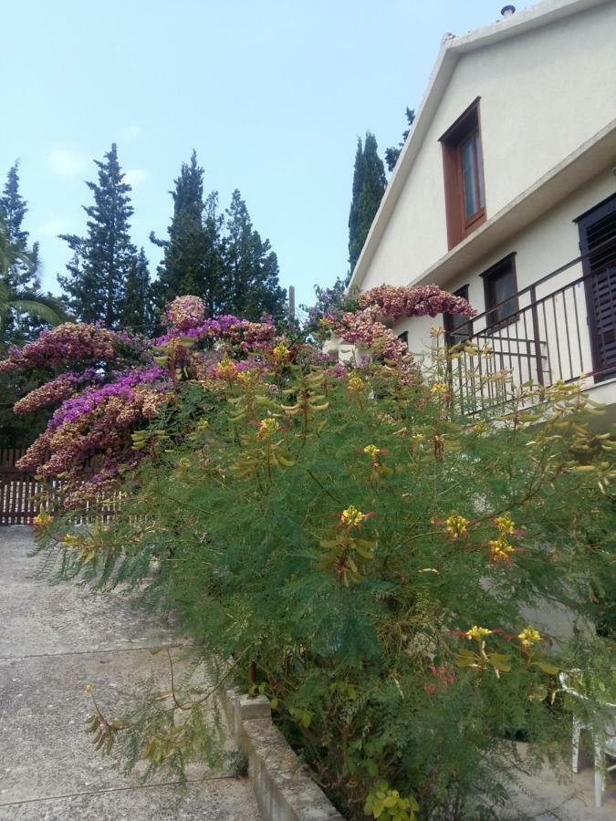 Manda Ljubetic Daire Sutivan Dış mekan fotoğraf