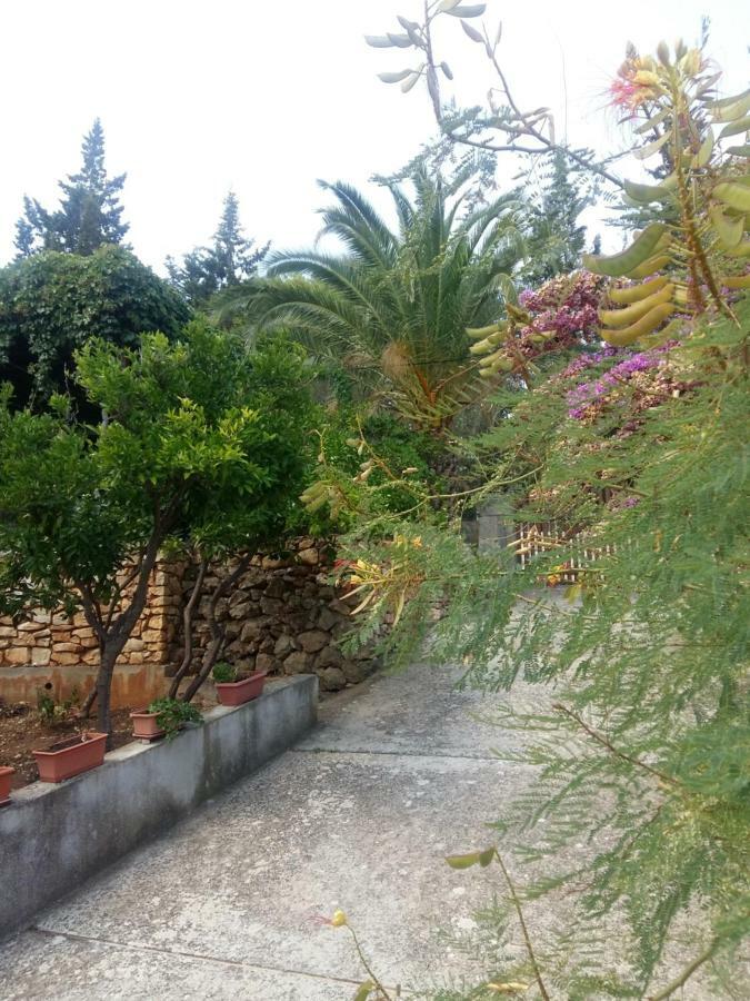 Manda Ljubetic Daire Sutivan Dış mekan fotoğraf